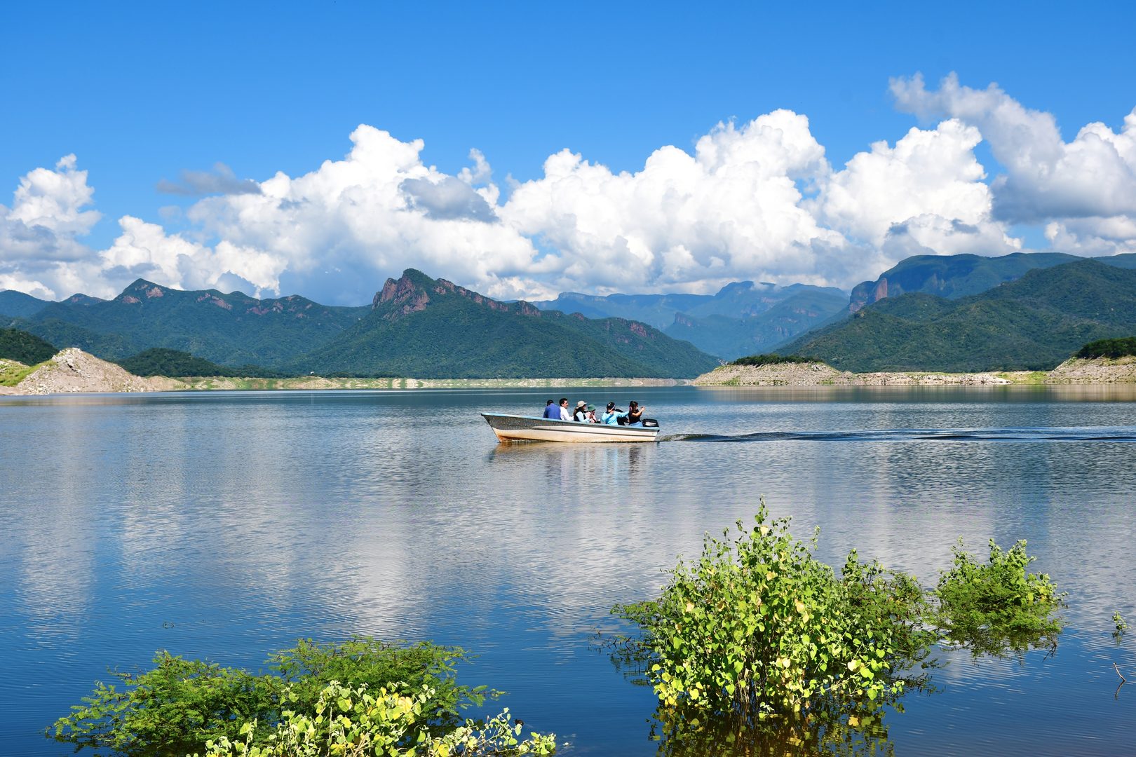 Presa Huites